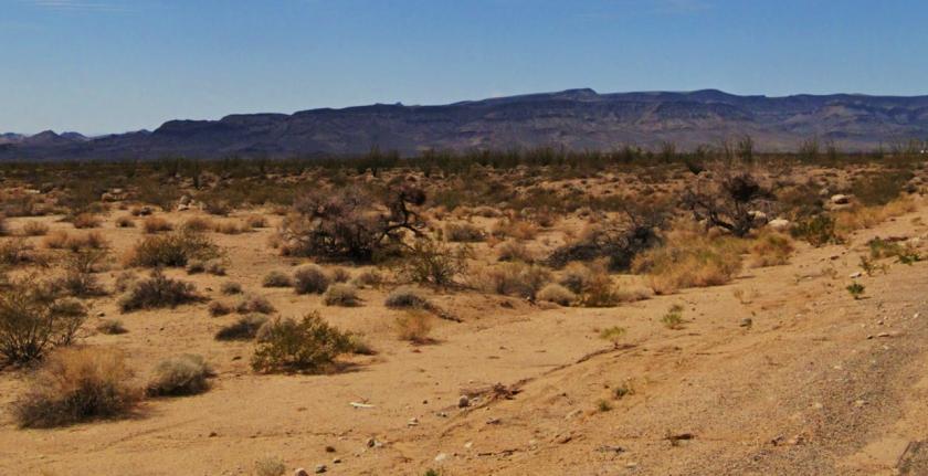 2.35 Acres for Sale in Yucca, Arizona