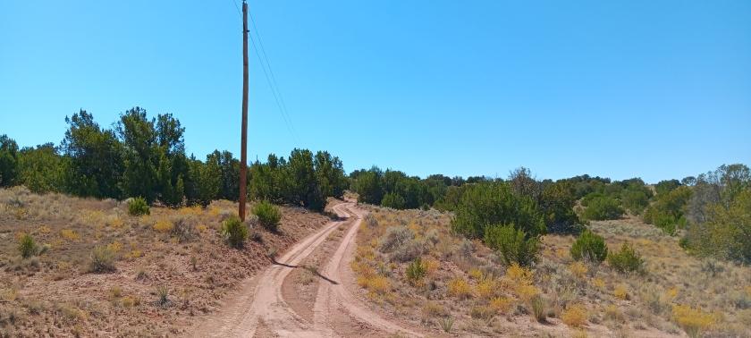 1.15 Acres for Sale in Sanders, Arizona