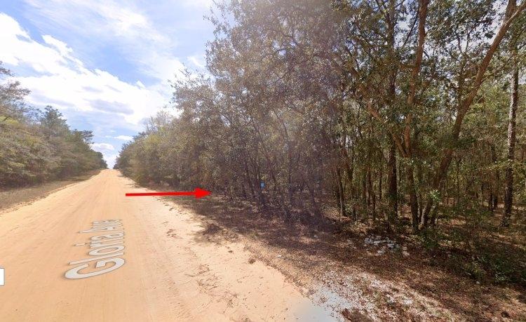 0.22 Acres for Sale in INTERLACHEN, Florida