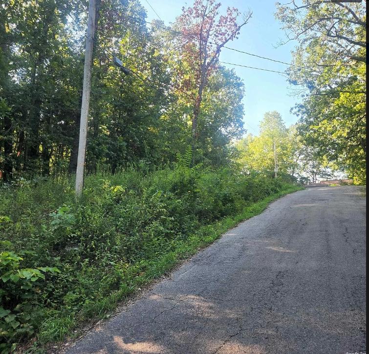 0.28 Acres for Sale in Cherokee Village, Arkansas