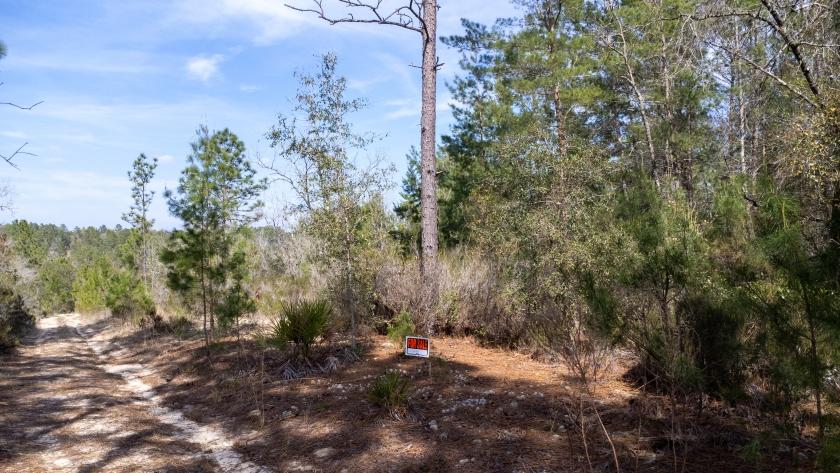 0.2 Acres for Sale in Interlachen, Florida