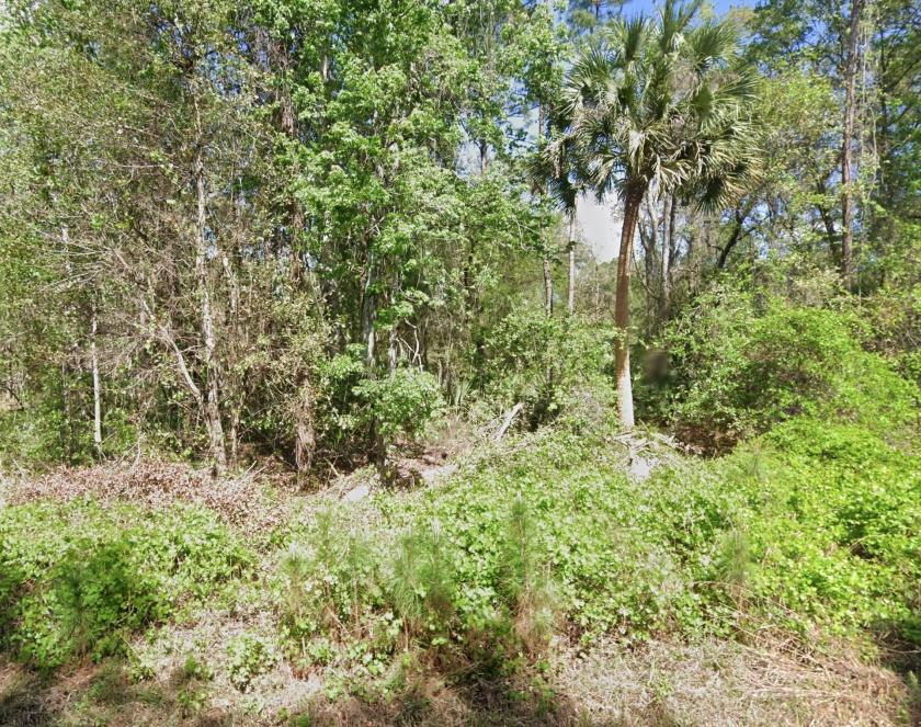 0.46 Acres for Sale in Georgetown, Florida