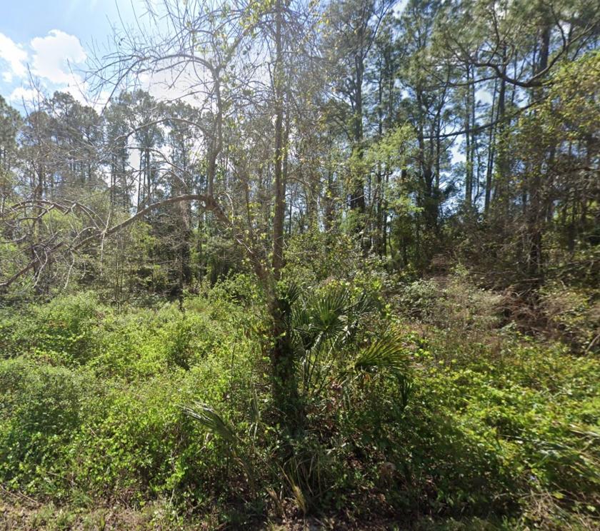 .23 Acres for Sale in Georgetown, Florida