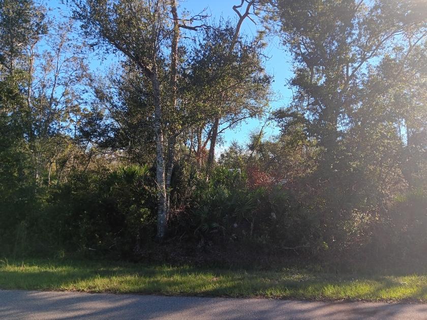 0.22 Acres for Sale in Punta Gorda, Florida