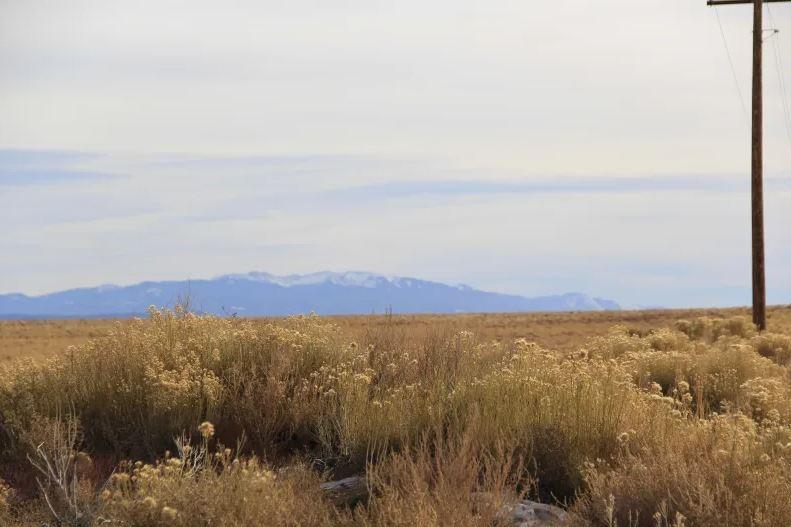 4.54 Acres for Sale in Blanca, Colorado