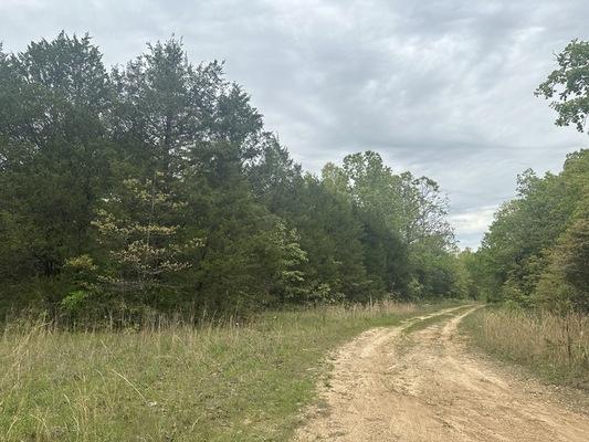 0.22 Acres for Sale in Horseshoe Bend, Arkansas