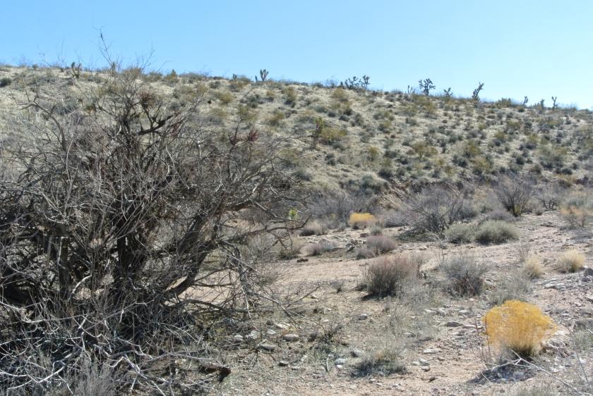 1.25 Acres for Sale in Meadview, Arizona