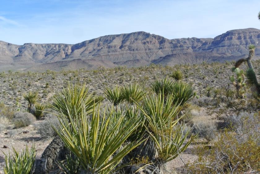 1.25 Acres for Sale in Meadview, Arizona