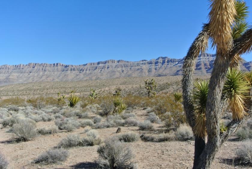 3.75 Acres for Sale in Meadview, Arizona