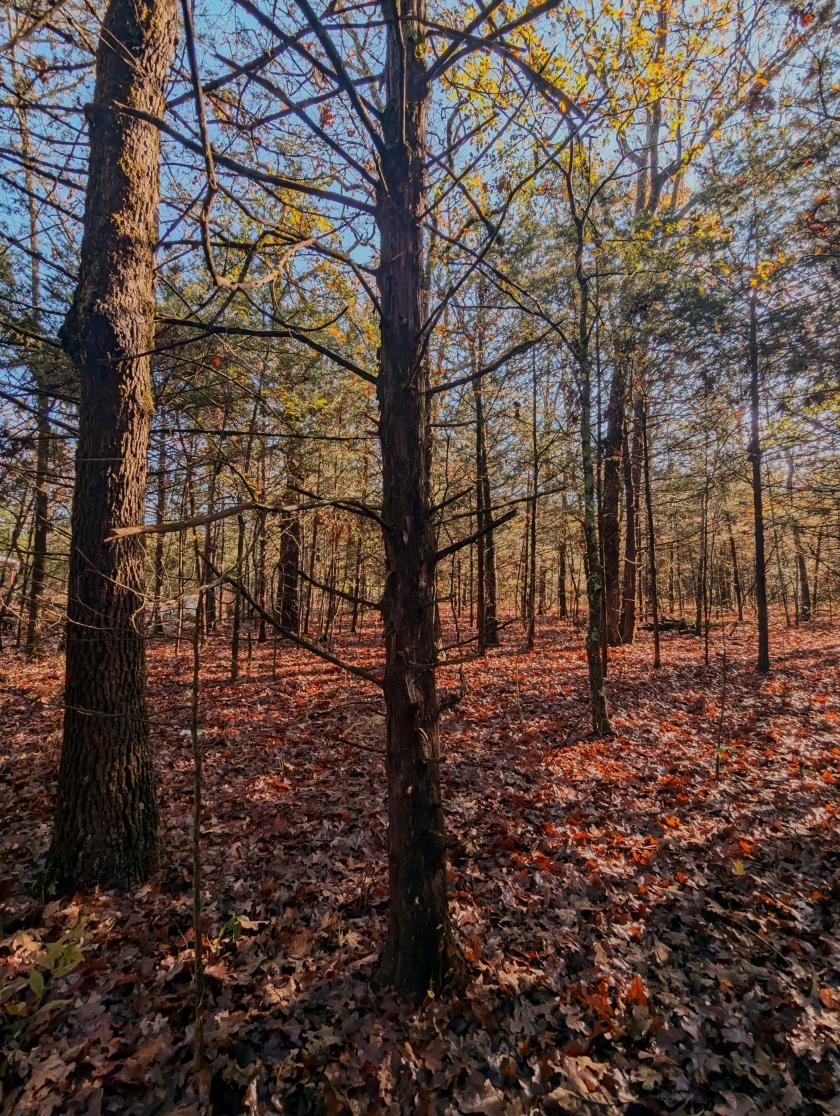 0.27 Acres for Sale in Horseshoe Bend, Arkansas