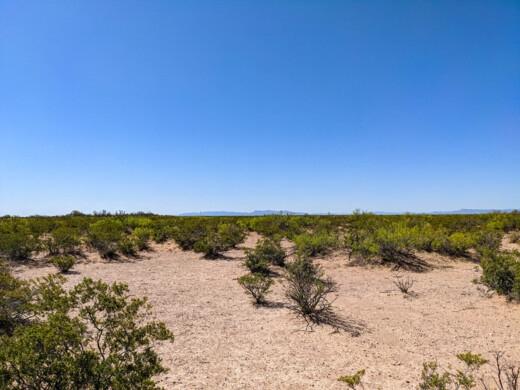 0.50 Acres for Sale in Agua Dulce, Texas