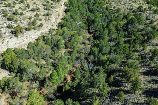 0.69 Acres for Sale in Cloudcroft, New Mexico