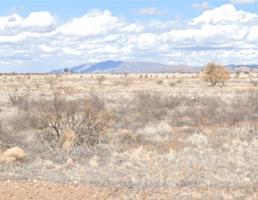 0.32 Acres for Sale in Douglas, Arizona