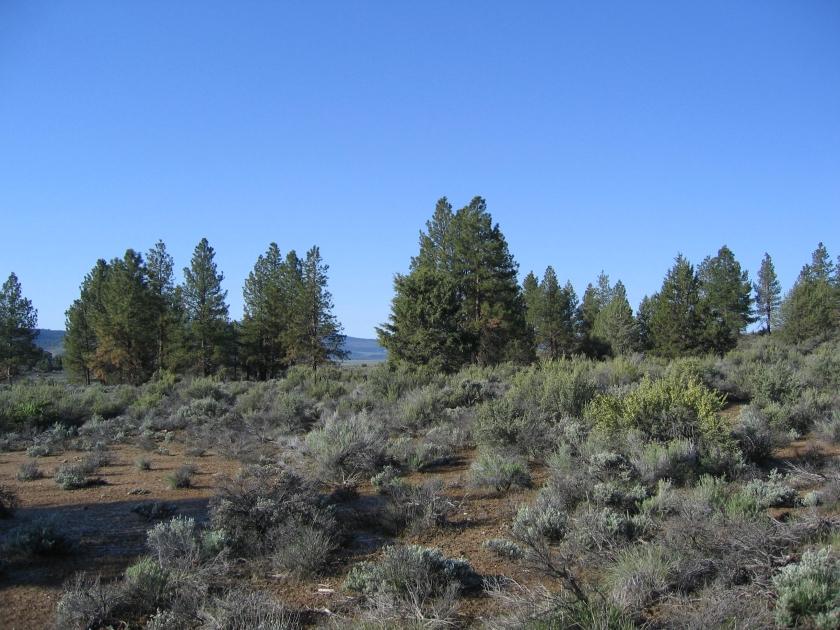 1.52 Acres for Sale in Beatty, Oregon