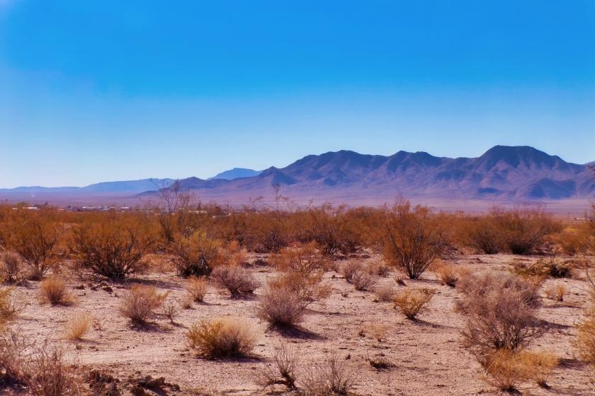 0.8 Acres for Sale in Kingman, Arizona