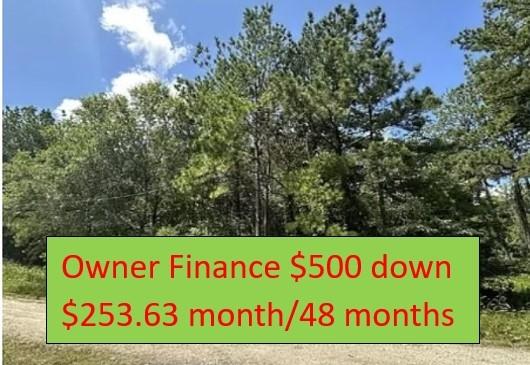 0.26 Acres for Sale in West Livingston, Texas