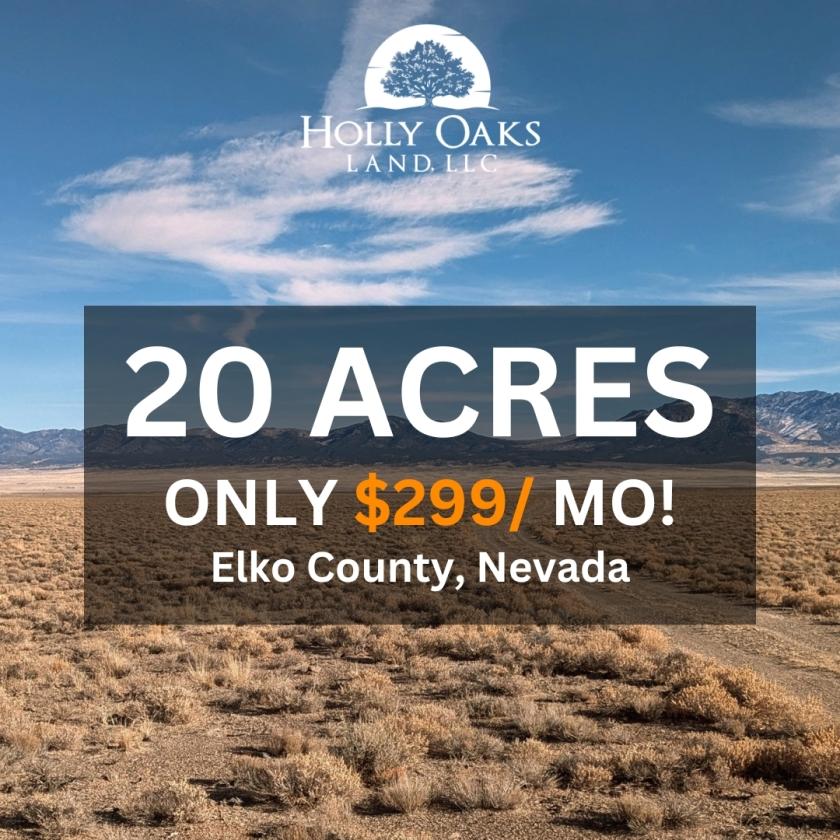 20 Acres for Sale in Montello, Nevada