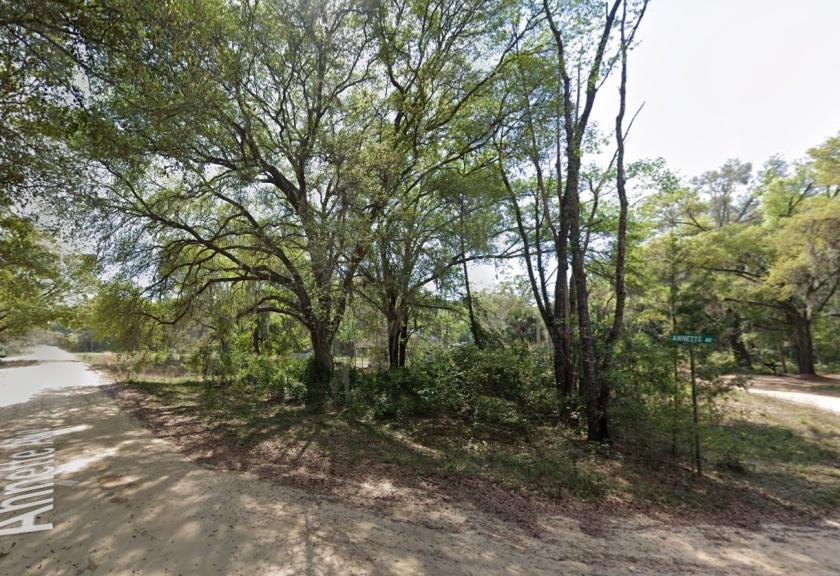 0.17 Acres for Sale in Interlachen, Florida