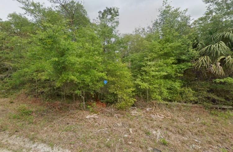 0.24 Acres for Sale in SATSUMA, Florida