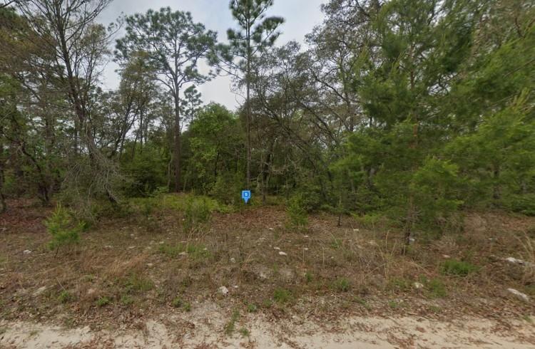 0.25 Acres for Sale in Satsuma, Florida
