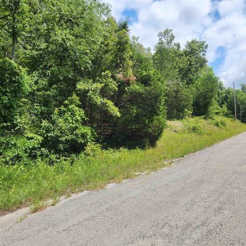 0.36 Acres for Sale in Cherokee Village (www.commonlots.net), Arkansas