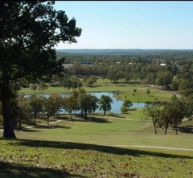 0.45 Acres for Sale in Horseshoe Bend, Arkansas