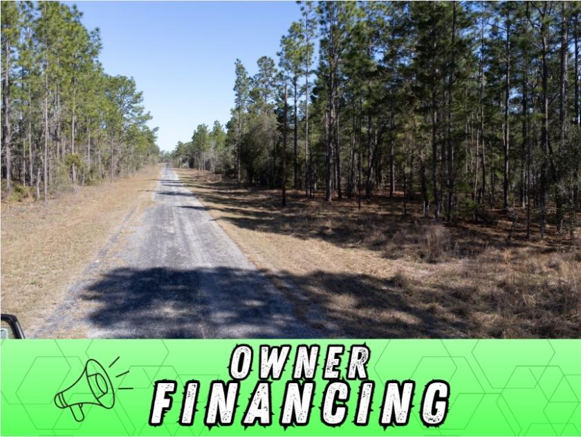 0.25 Acres for Sale in Dunnellon, Florida