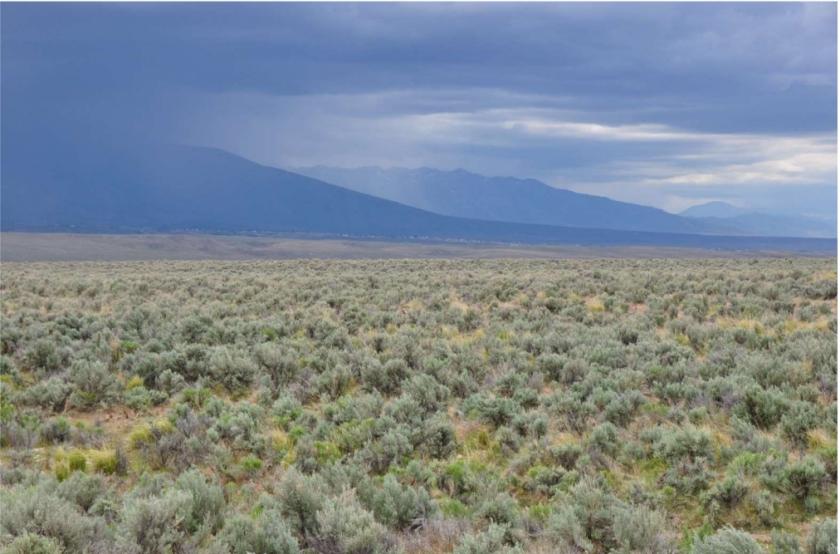1.13 Acres for Sale in Spring Creek, Nevada