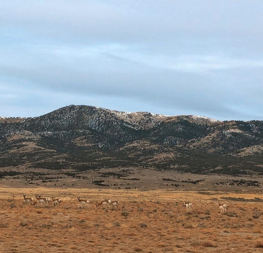 10.76 Acres for Sale in Montello, Nevada