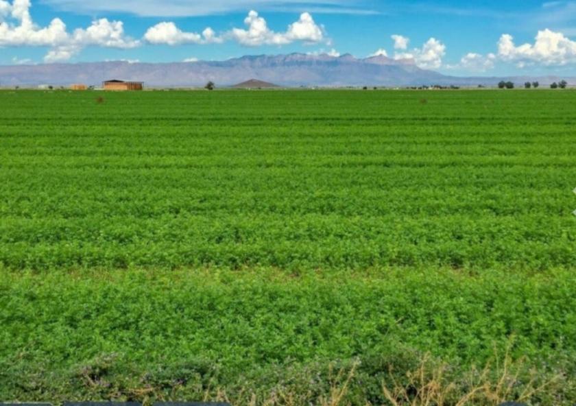 10 Acres for Sale in Dell City, Texas