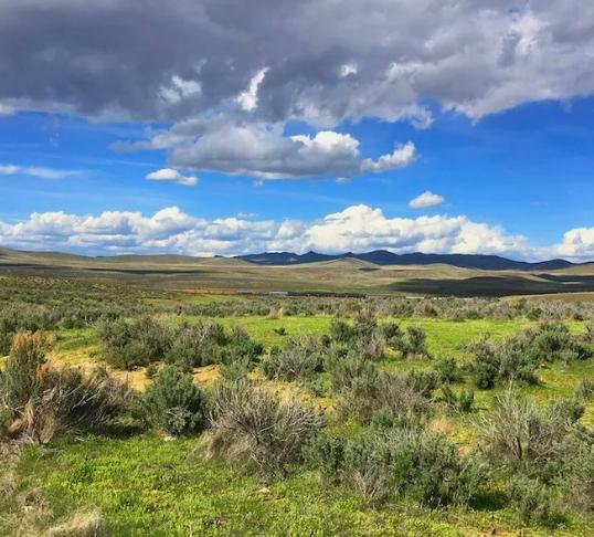 11.78 Acres for Sale in Crescent Valley (FINANCING TERMS) LOW MONTHLY PAYMENT!, Nevada