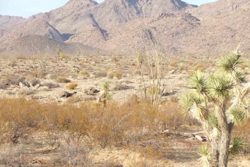 1.46 Acres for Sale in Yucca, Arizona