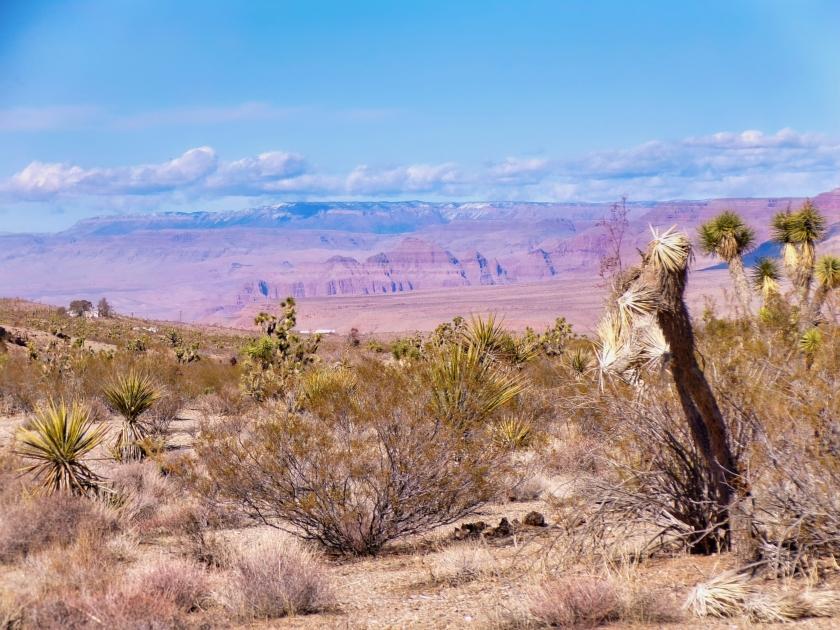 1.79 Acres for Sale in Meadview, Arizona