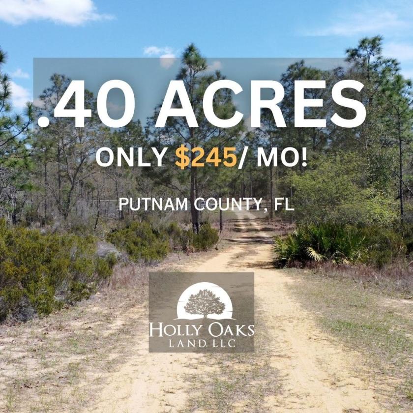 0.4 Acres for Sale in Interlachen, Florida