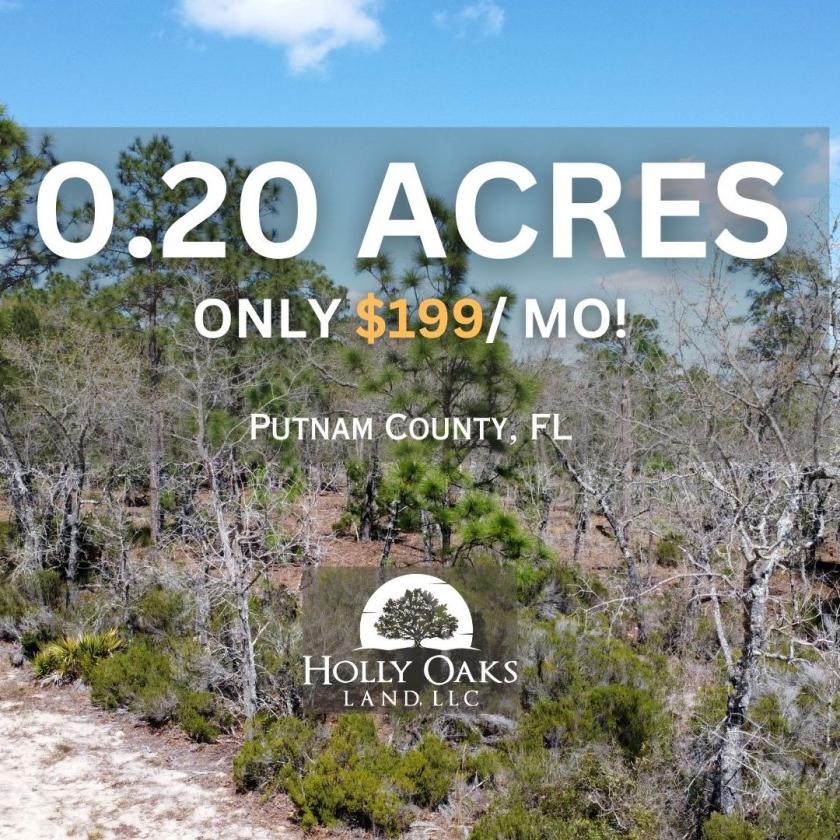 0.2 Acres for Sale in Interlachen, Florida