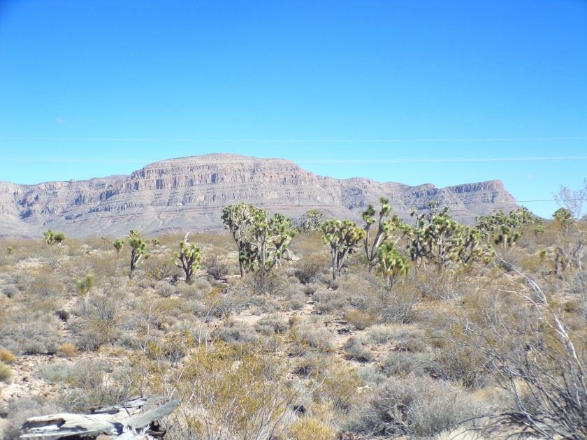 1.25 Acres for Sale in Meadview, Arizona