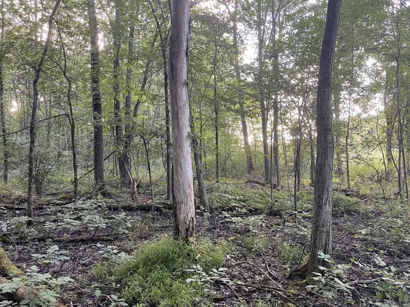 0.18 Acres for Sale in North Olmsted, Ohio