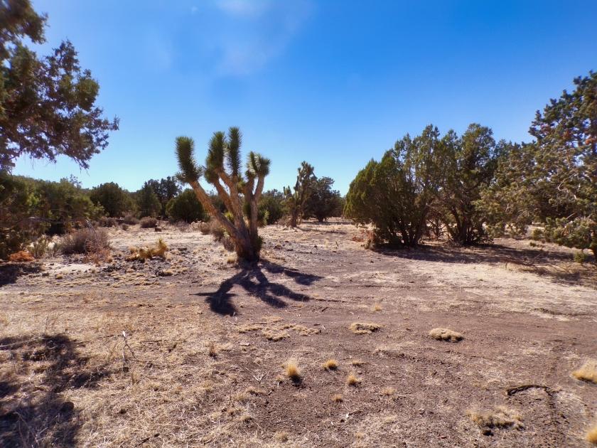 3.75 Acres for Sale in Meadview, Arizona