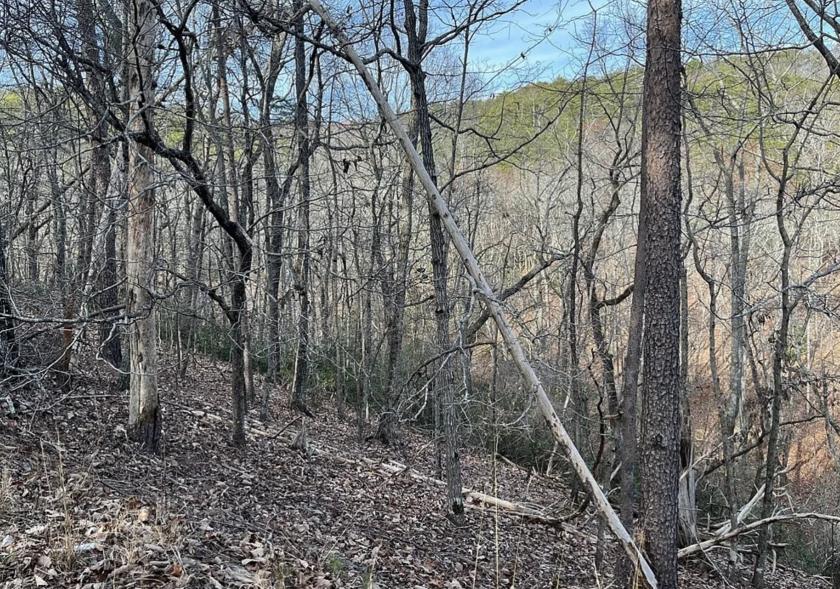 .43 Acres for Sale in Waleska, Georgia