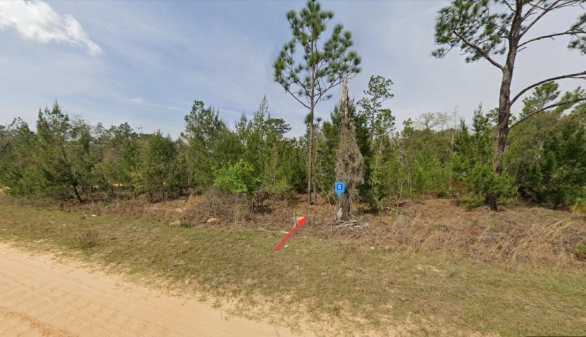 0.28 Acres for Sale in Interlachen, Florida