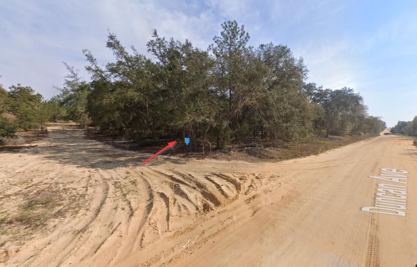 0.23 Acres for Sale in Interlachen, Florida