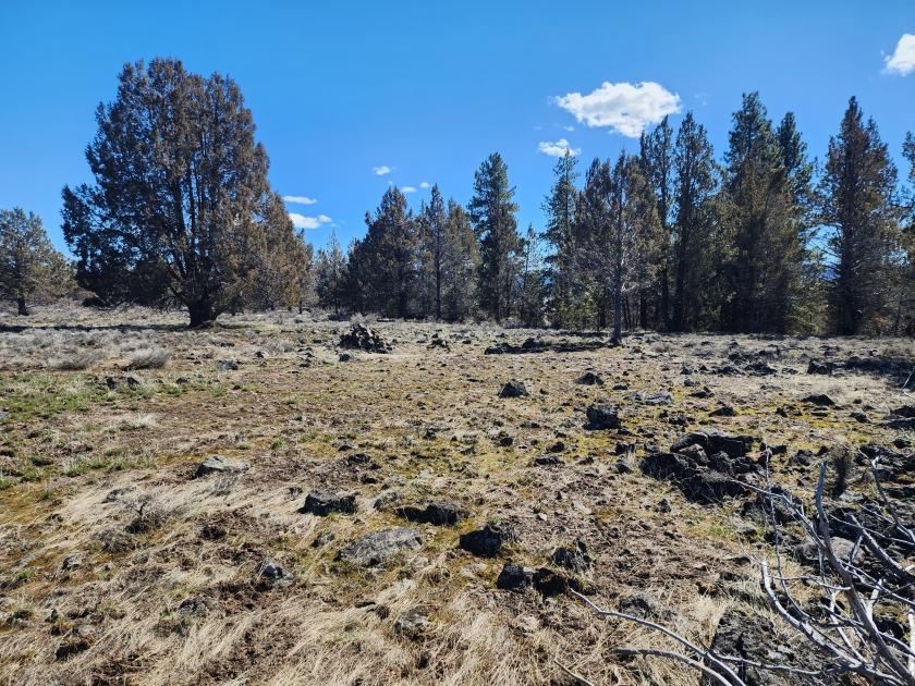 1.55 Acres for Sale in Sprague River, Oregon