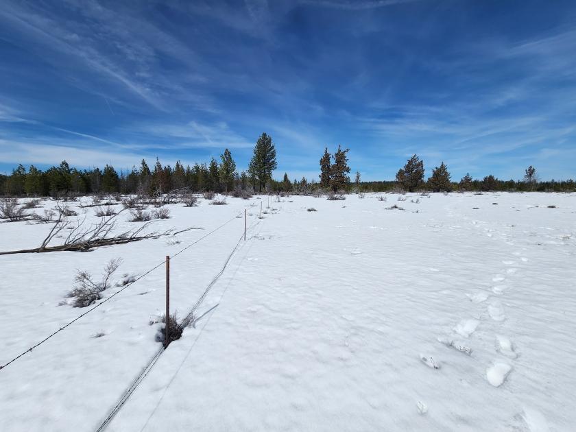 1.54 Acres for Sale in Chiloquin, Oregon