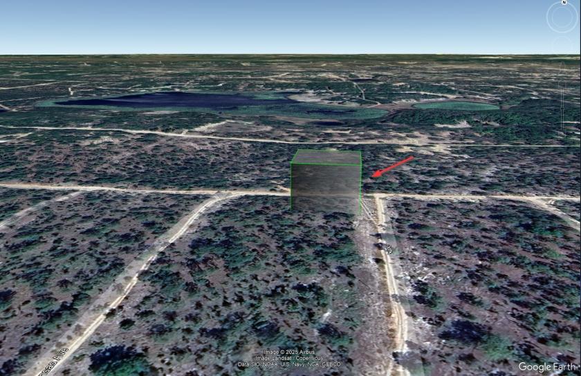 0.29 Acres for Sale in Hawthorne, Florida