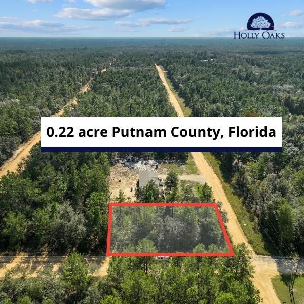 0.22 Acres for Sale in Interlachen, Florida