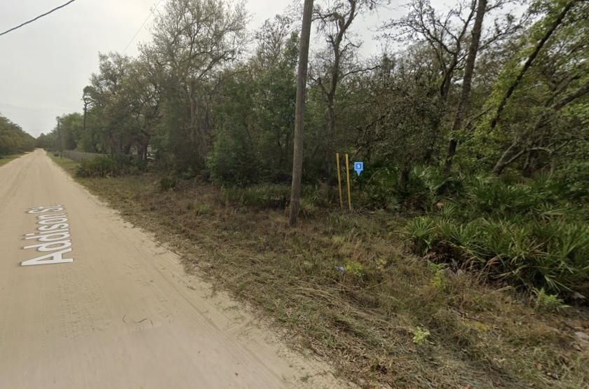 0.22 Acres for Sale in Interlachen, Florida