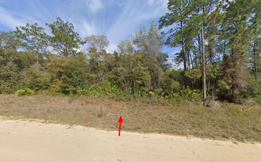 0.22-Acre Residential Land for Sale in Satsuma, FL - $349 Down, $246/mo Owner Financing