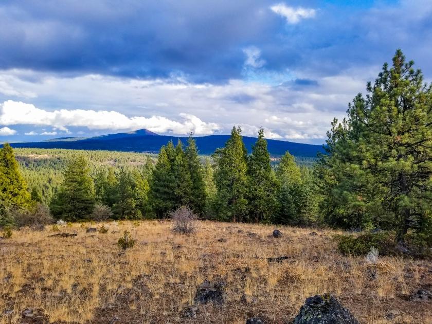 388501 Acres for Sale in Bonanza, Oregon