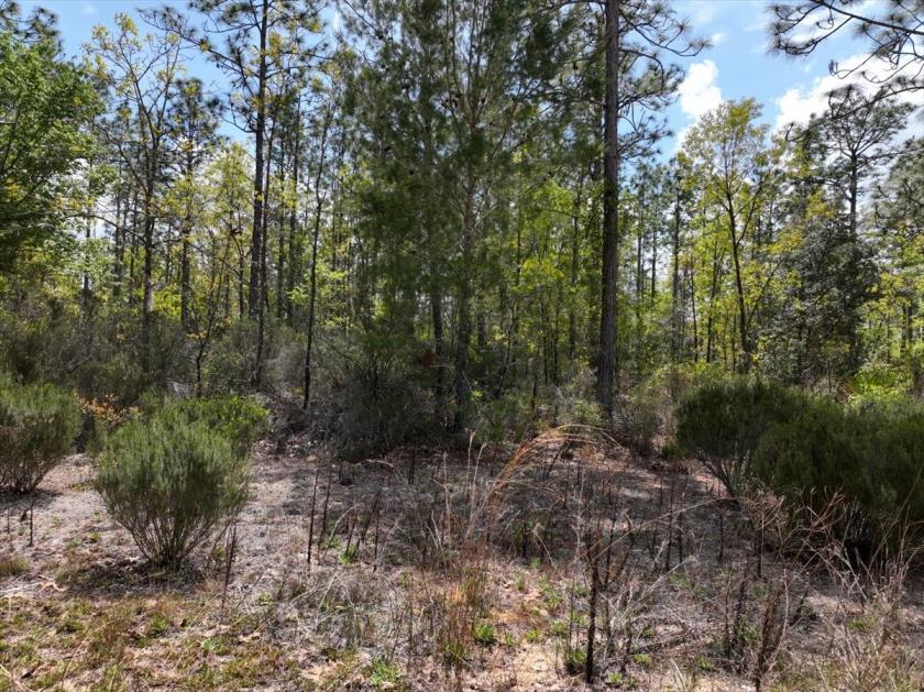 0.22 Acres for Sale in Interlachen, Florida