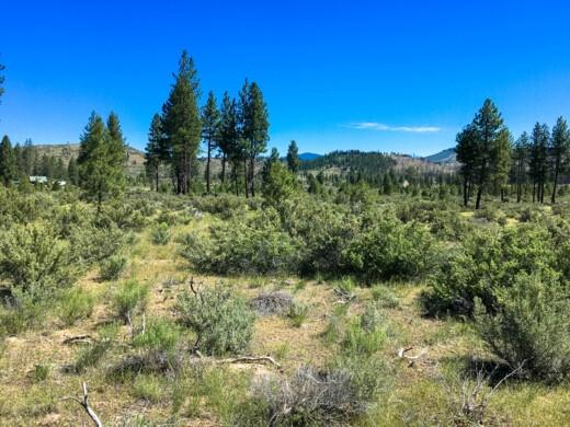 1.80 Acres for Sale in Beatty, Oregon